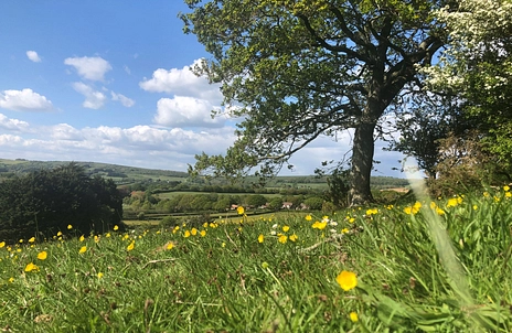 Queen Bower Farm Lodge - Queen Bower Farm  Alverstone Rd Queen Bower, Sandown, East Wight, United Kingdom, PO36